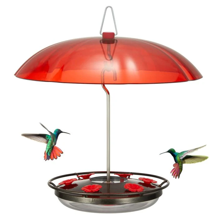 Elevate Your Backyard Birding Experience